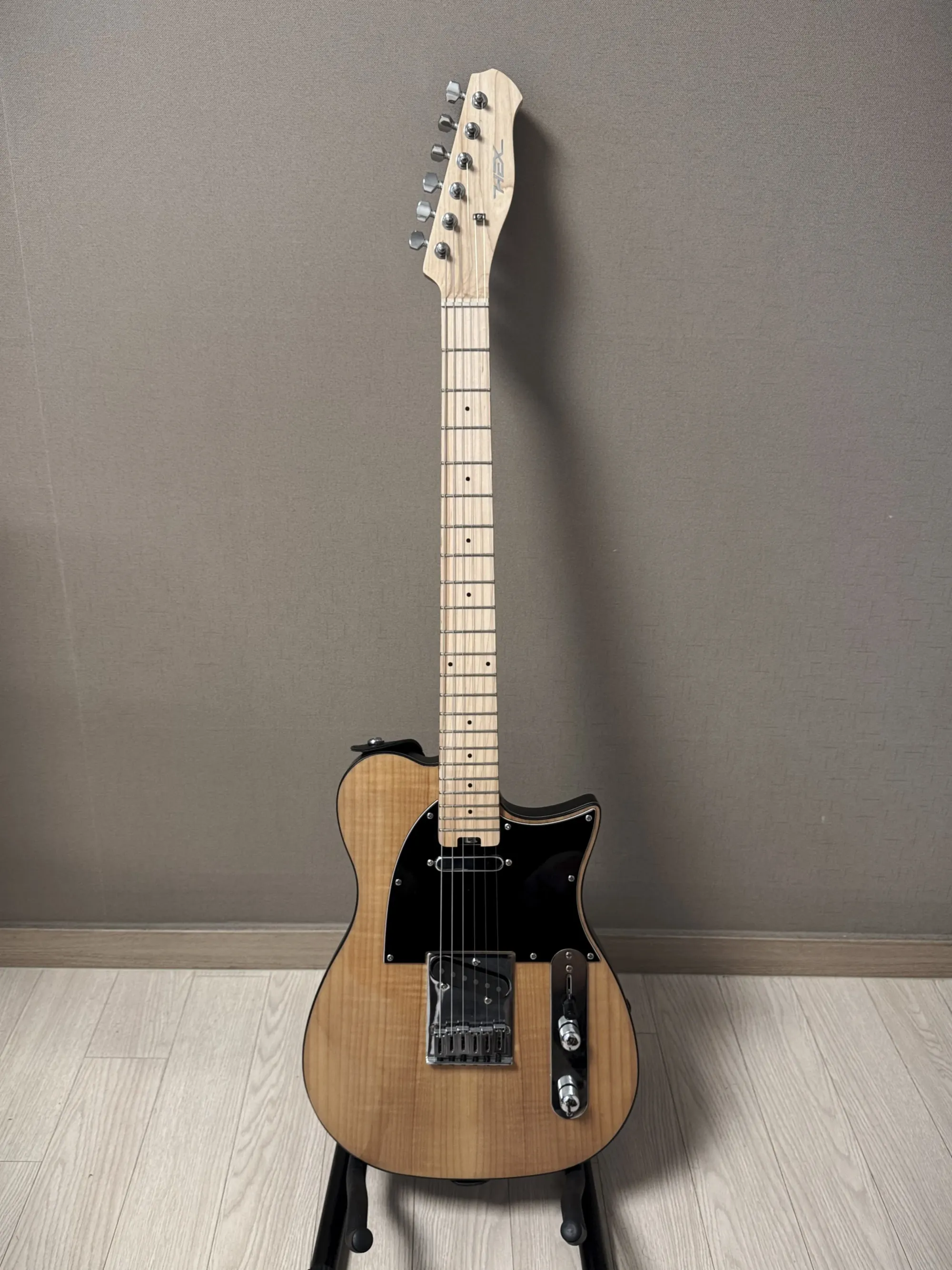 My First Electric Guitar - HEX T200