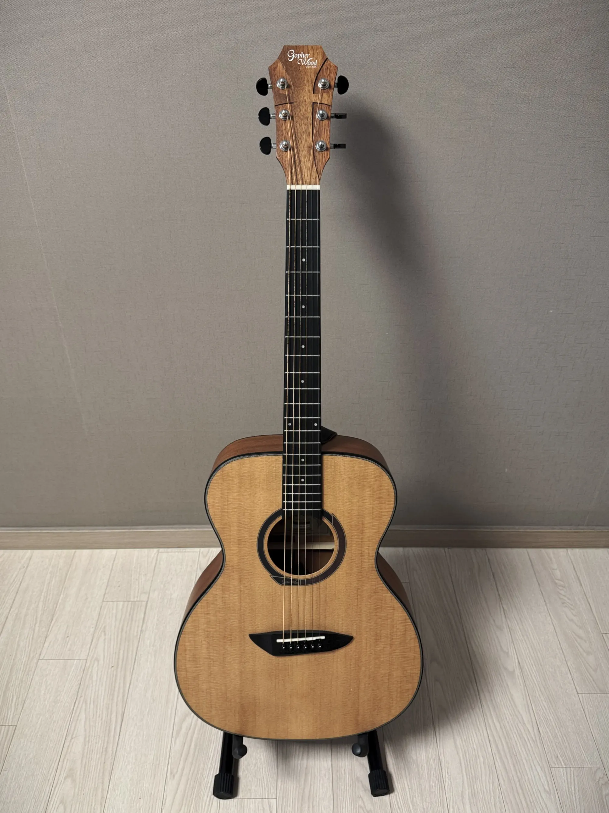 My First Acoustic Guitar - Gopher Wood G110